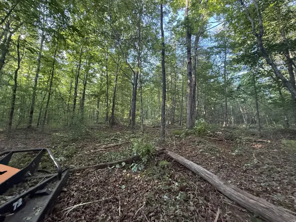 1672 Besstown Road, Beersheba Springs, TN 37305