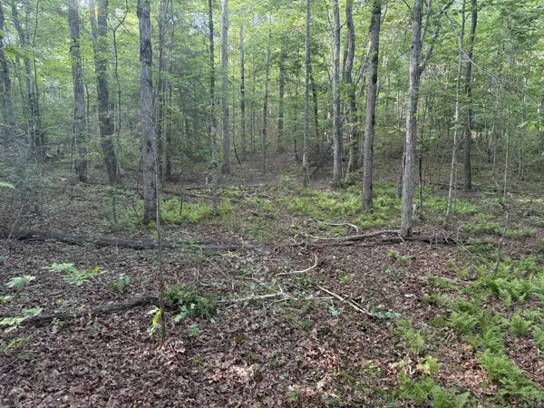 1672 Besstown Road, Beersheba Springs, TN 37305