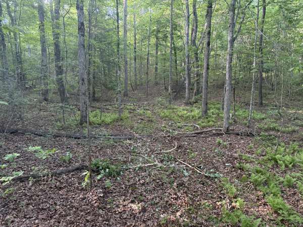 1672 Besstown Road, Beersheba Springs, TN 37305