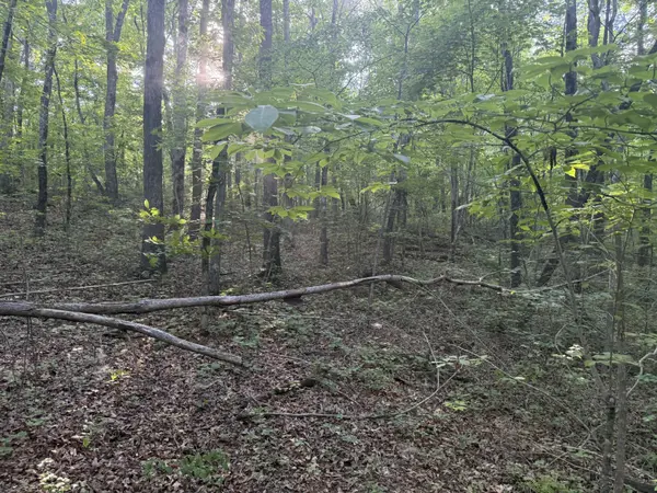 1672 Besstown Road, Beersheba Springs, TN 37305