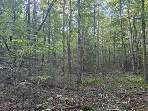 1672 Besstown Road, Beersheba Springs, TN 37305
