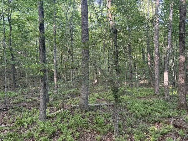 1672 Besstown Road, Beersheba Springs, TN 37305