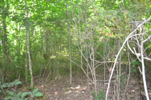 0 Dynamite Ln, Livingston, TN 38570