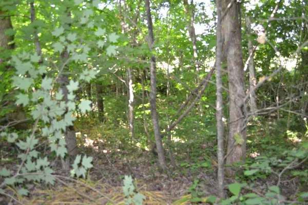 0 Dynamite Ln, Livingston, TN 38570