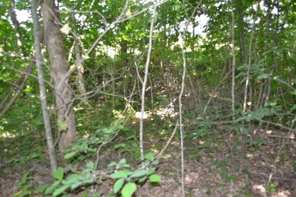 0 Dynamite Ln, Livingston, TN 38570