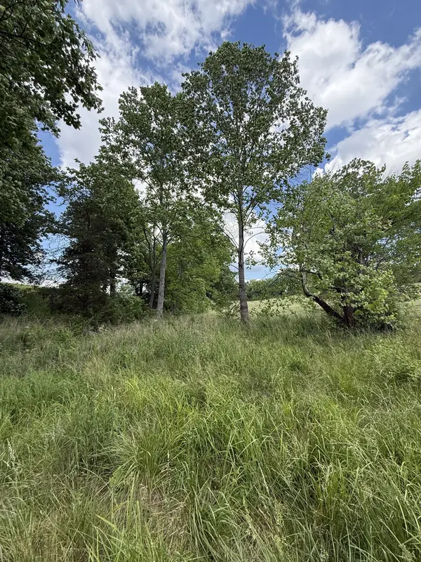 0 Love Rd, Mc Minnville, TN 37110