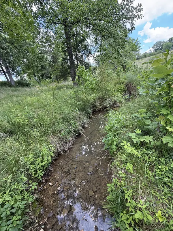 0 Love Rd, Mc Minnville, TN 37110