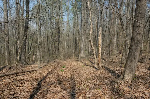 3578 Wolf Creek Road, Spring City, TN 37381