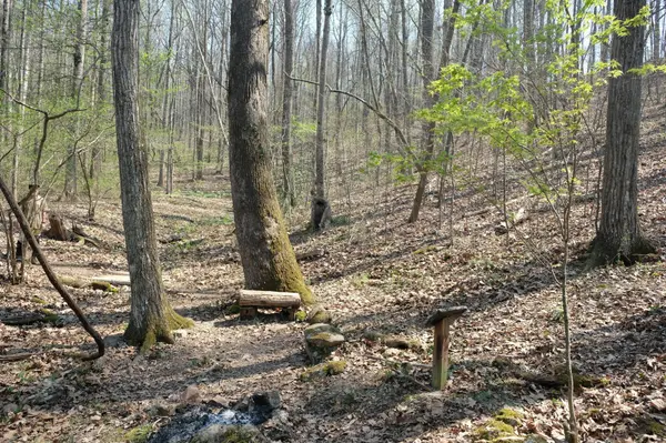 3578 Wolf Creek Road, Spring City, TN 37381
