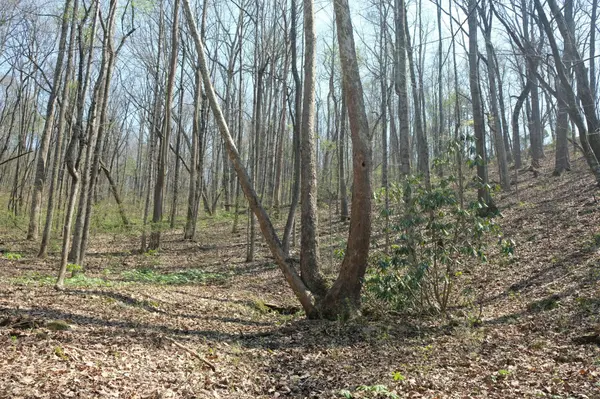 3578 Wolf Creek Road, Spring City, TN 37381