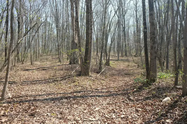 3578 Wolf Creek Road, Spring City, TN 37381