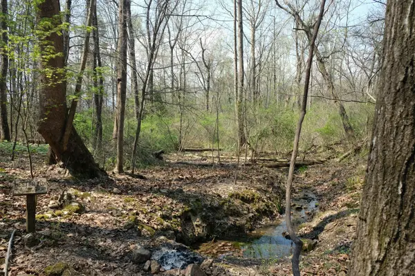 3578 Wolf Creek Road, Spring City, TN 37381