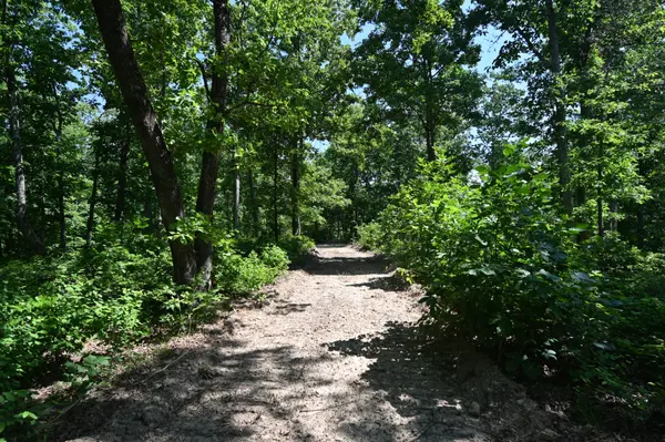 0 Bear Creek Rd, Waverly, TN 37185