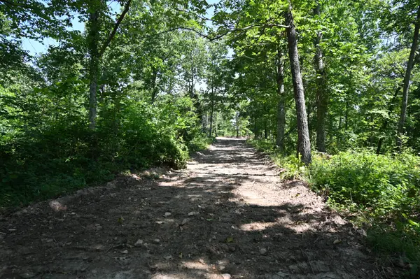 0 Bear Creek Rd, Waverly, TN 37185