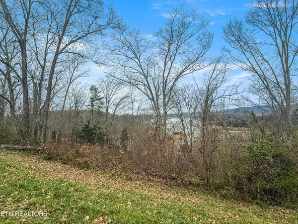 2021 Turner Landing Rd, Russellville, TN 37860