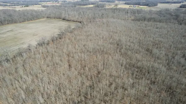 0 LAKEVIEW RD, Springfield, TN 37172