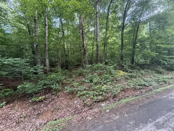 0 Caney Branch Rd, Stewart, TN 37175