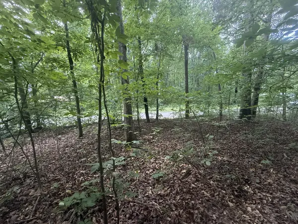 0 Caney Branch Rd, Stewart, TN 37175