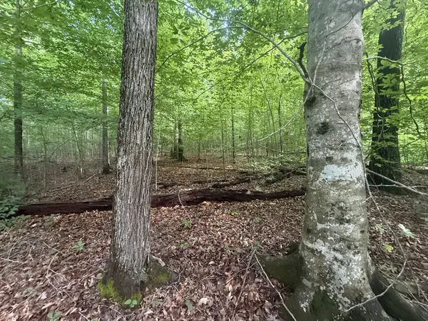 0 Caney Branch Rd, Stewart, TN 37175