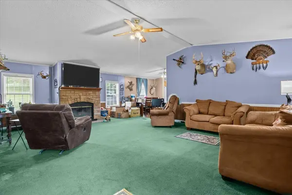 54 Tyler Ln, Erin, TN 37061