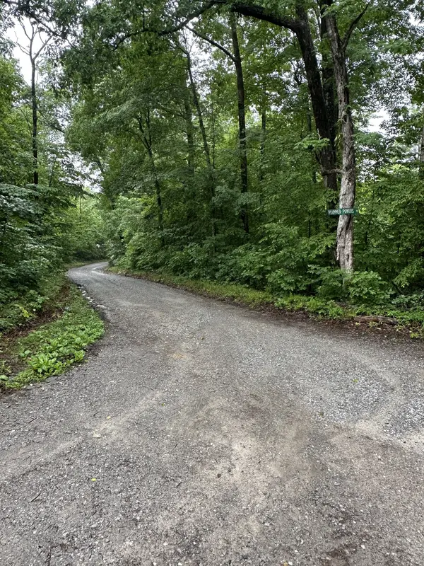 0 Gunson Ridge Road, Cumberland City, TN 37050