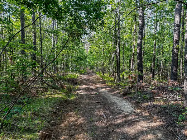 0 Post Office Rd, Michie, TN 38357