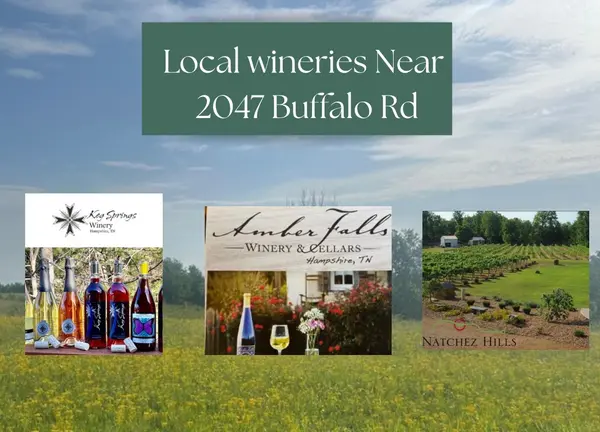 2047 Buffalo Rd, Hohenwald, TN 38462