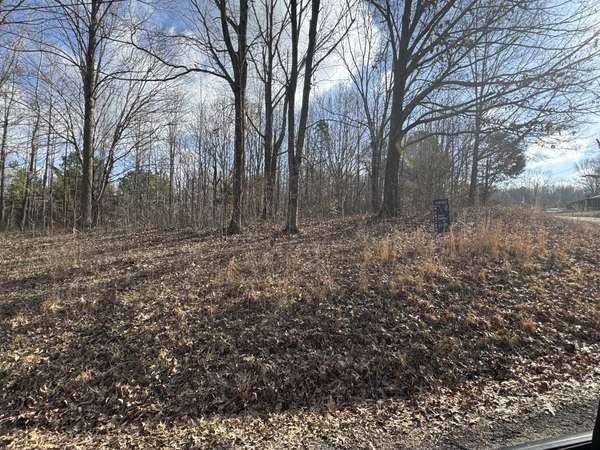 0 Crestview Dr, Bumpus Mills, TN 37028