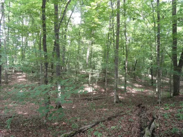 396 County Road 778, Athens, TN 37303