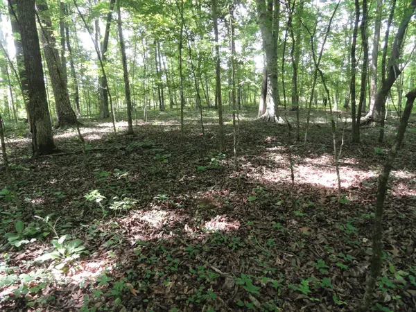 396 County Road 778, Athens, TN 37303