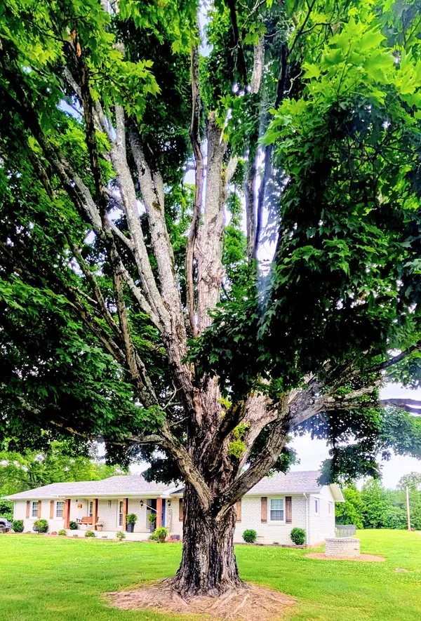 1106 S Chancery St, Mcminnville, TN 37110