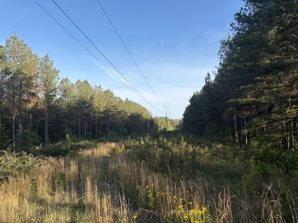 0 Black Bear Lane, Sunbright, TN 37872