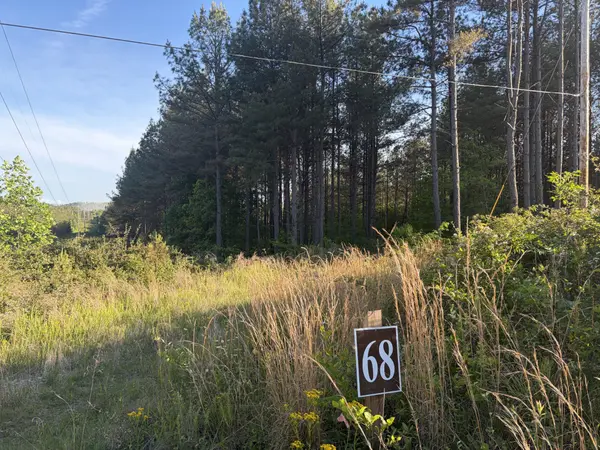 0 Black Bear Lane, Sunbright, TN 37872