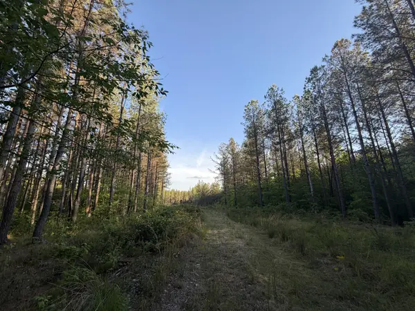 0 Black Bear Lane, Sunbright, TN 37872