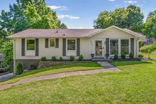 313 Hilldale Ln, Clarksville, TN 37043