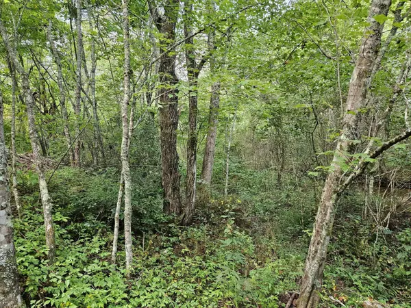 32 Belaire Drive, Copperhill, TN 37317