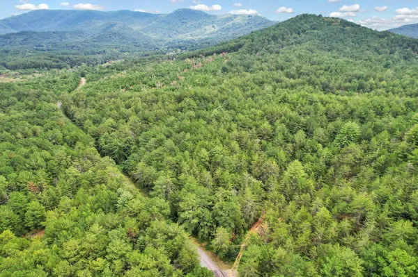 32 Belaire Drive, Copperhill, TN 37317