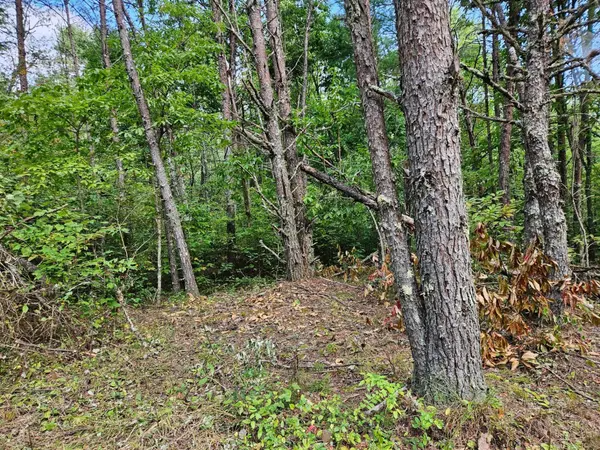 0 Golf Course Road, Copperhill, TN 37317
