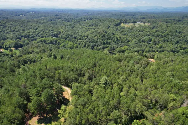0 Staffordtown Road, Copperhill, TN 37317