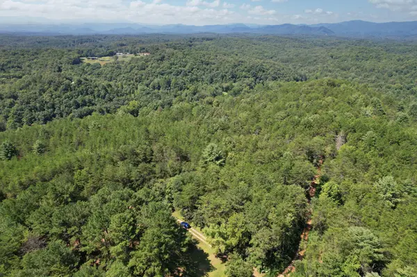 0 Staffordtown Road, Copperhill, TN 37317