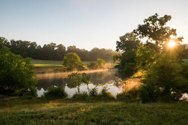 1462 Highway 48 #S, Dickson, TN 37055