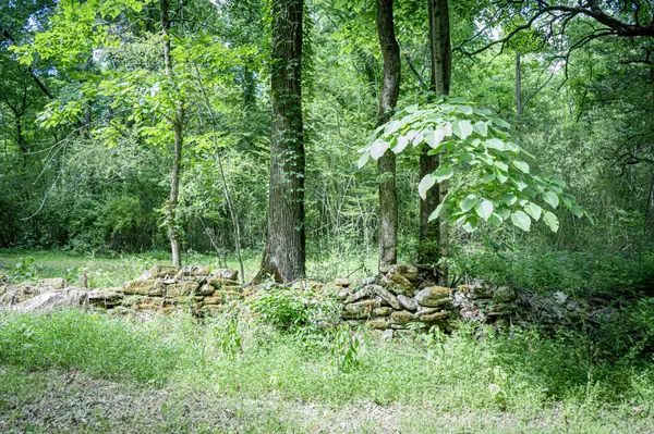 0 Pulaski Highway, Fayetteville, TN 37334