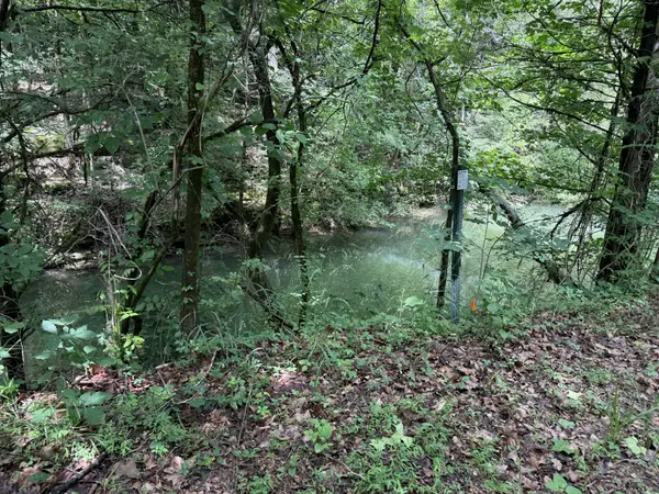 133 Cook Ln, Gainesboro, TN 38562