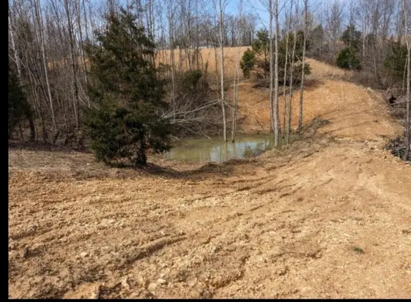 2047 Buffalo Rd, Hohenwald, TN 38462