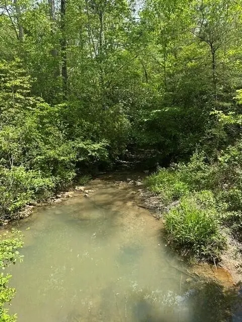 142 Cole Road, Deer Lodge, TN 37726
