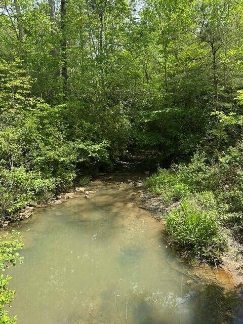 142 Cole Road, Deer Lodge, TN 37726