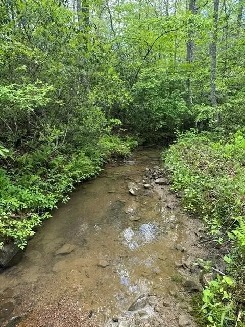 142 Cole Road, Deer Lodge, TN 37726