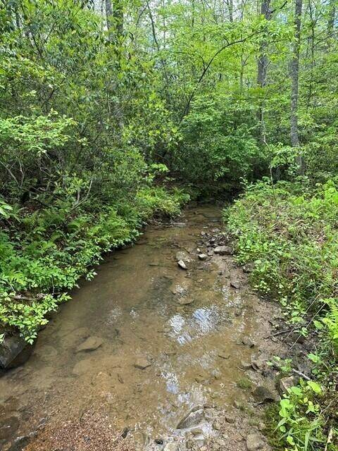 142 Cole Road, Deer Lodge, TN 37726