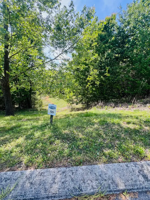 198 River Run Trail, Spring City, TN 37381