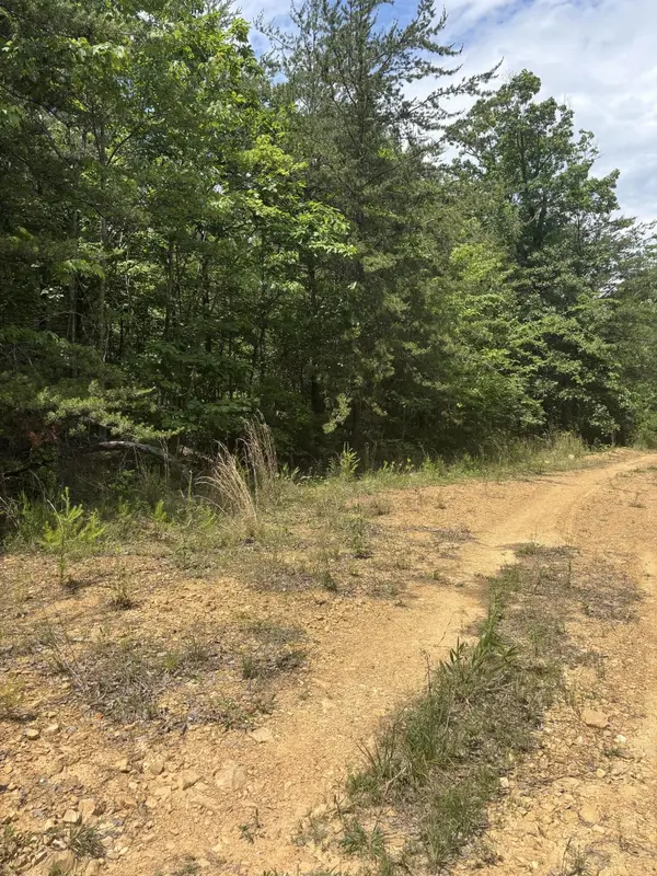 0 Sawmill Creek Rd, Dunlap, TN 37327